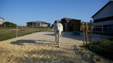 Pension chevaux