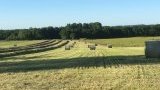 Pension chevaux