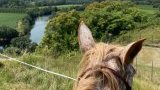 Balades et randonnées à cheval