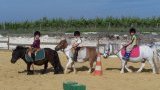 Cours d'équitation