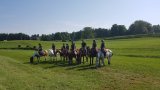 Stages d'équitation