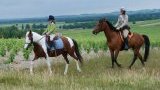 Balades et randonnées à cheval