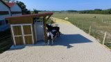 Pension chevaux
