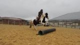 Stages d'équitation