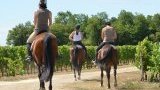 Balades et randonnées à cheval