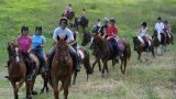 Balades et randonnées à cheval