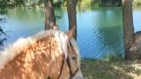 Balades et randonnées à cheval