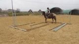Stages d'équitation