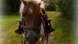 Cours d'équitation