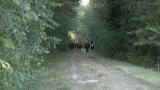 Balades et randonnées à cheval