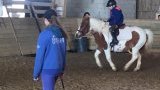 Stages d'équitation