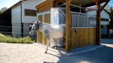 Pension chevaux