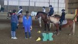 Stages d'équitation