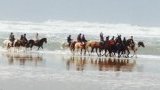 Balades et randonnées à cheval