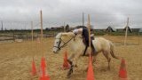 Stages d'équitation