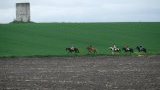 Balades et randonnées à cheval