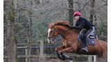 Stages d'équitation